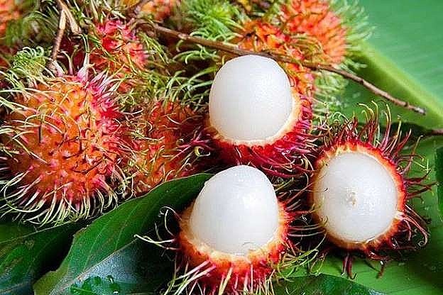 One of the most famous Vietnamese fruits is rambutan