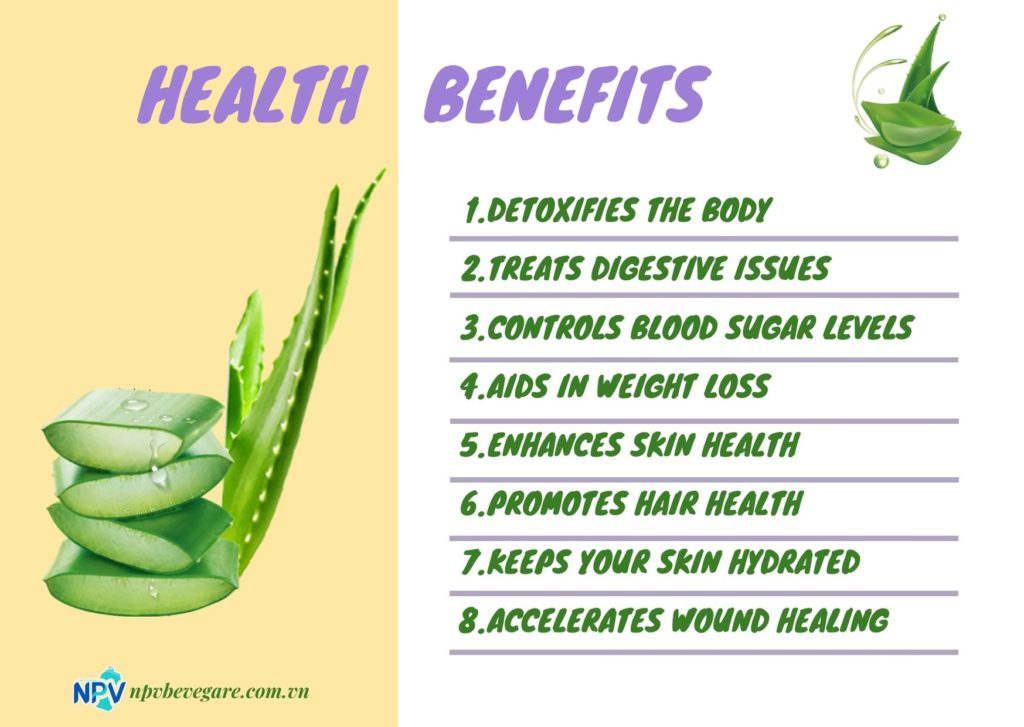 Aloe Vera Plant The Magical And Medicinal Plant Npv Beverage