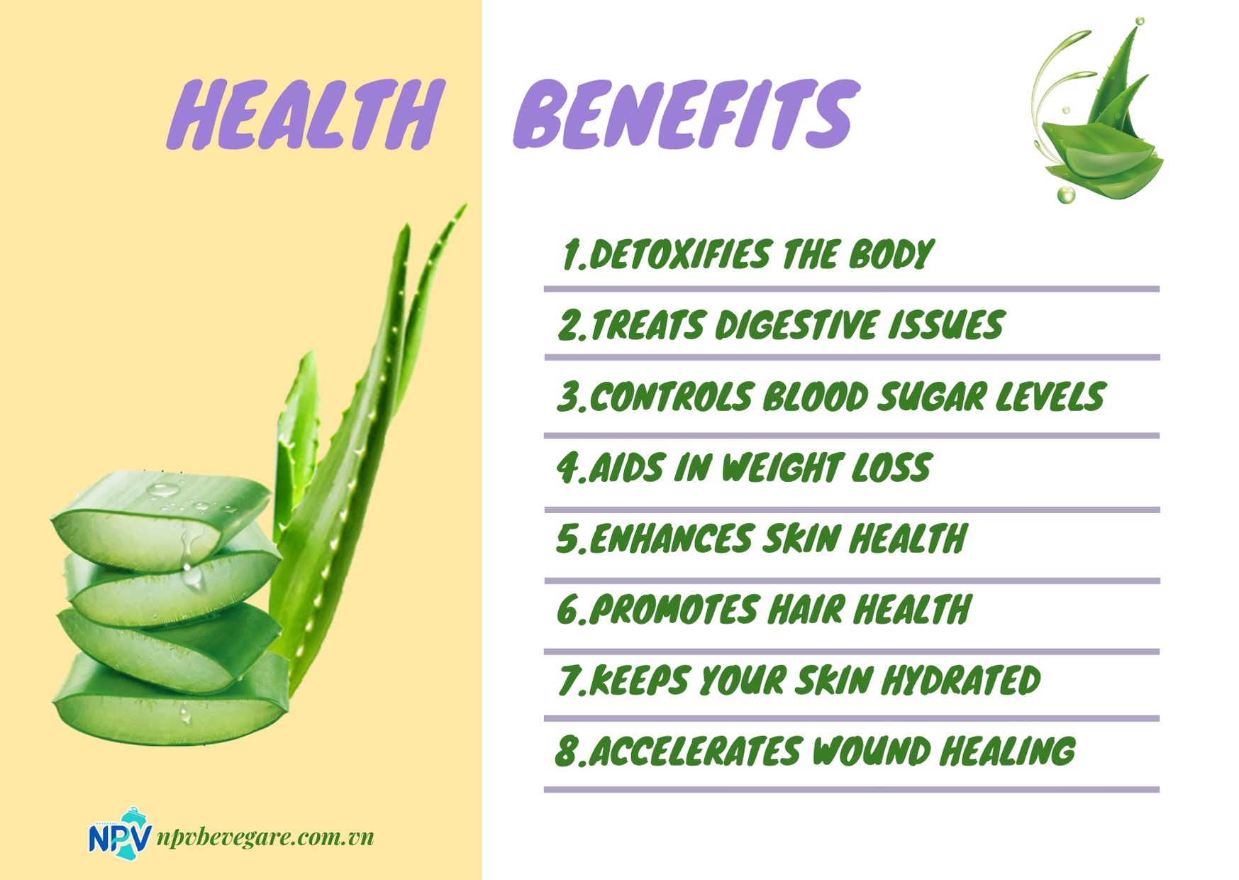 The benefit 2024 of aloe vera