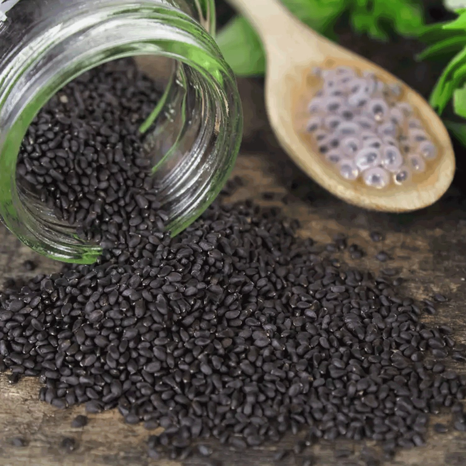 Basil Seeds 6 Surprising benefits NPV Beverage