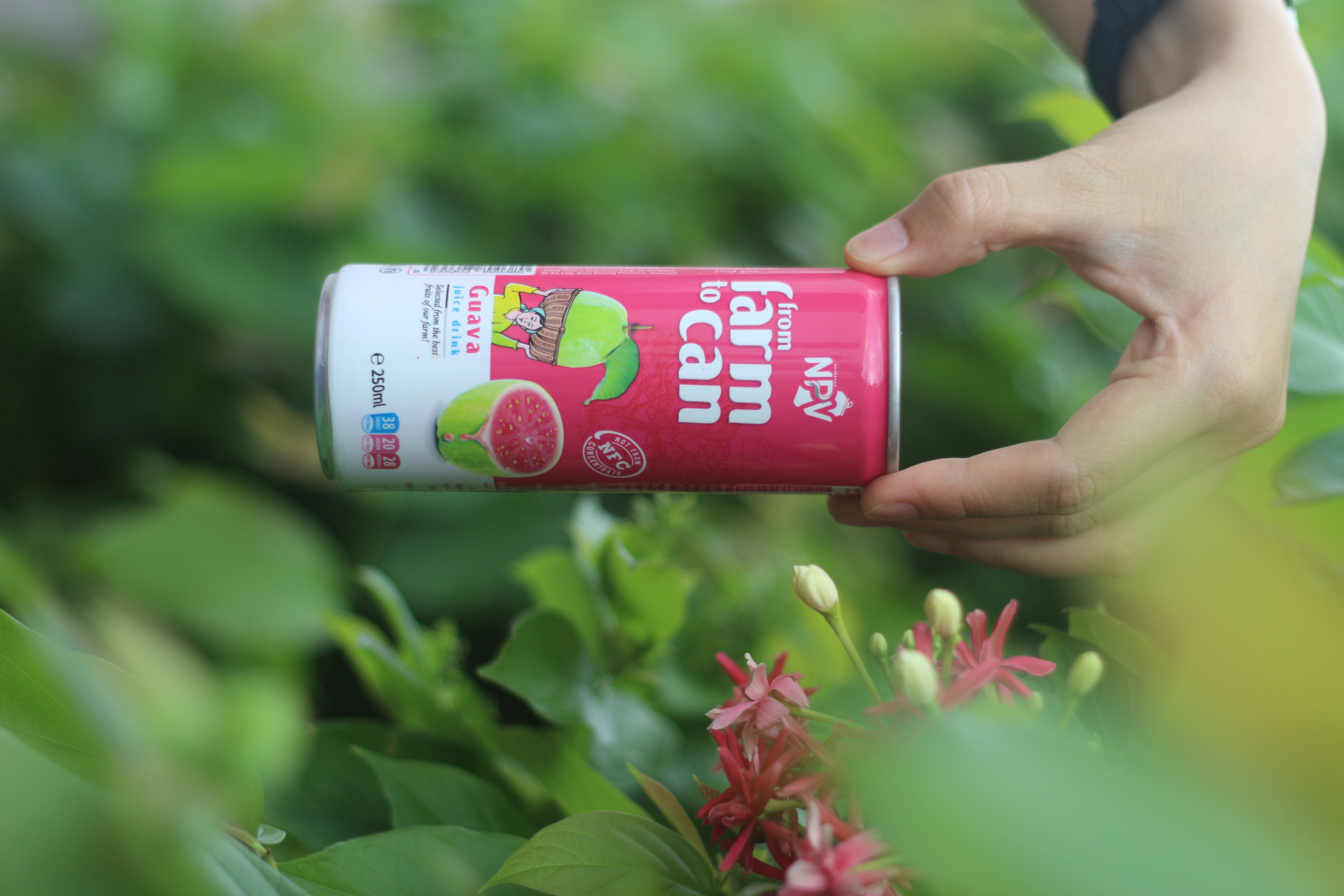 Guava Juice Drink 250ml Slim Can