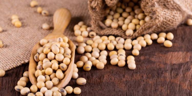 Health Benefits Of Soybean – A Good Source Of Many Nutrients