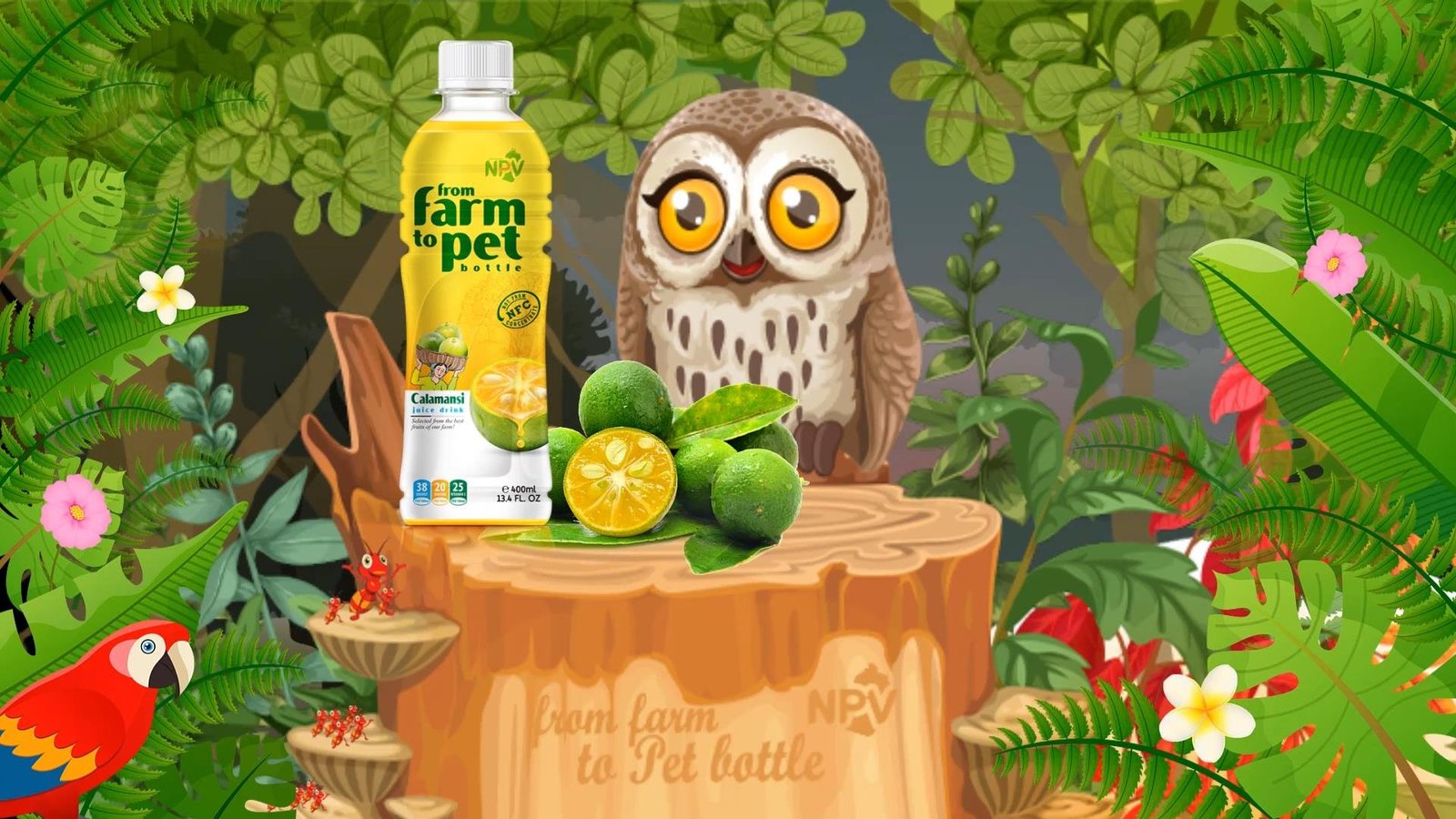 Calamansi Juice Drink