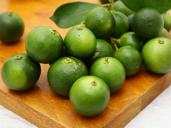 Calamansi – Small & Pretty Citrus Fruit - NPV Beverage