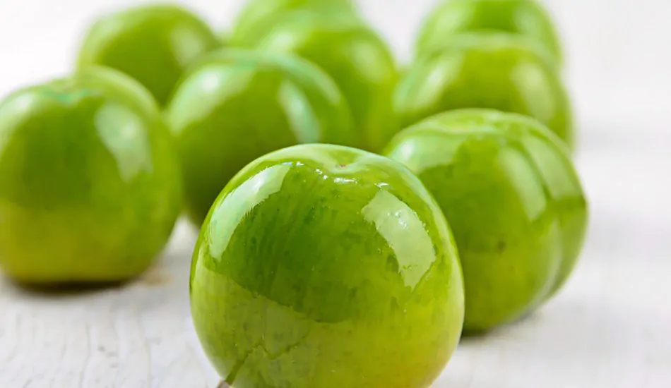 kakadu plum